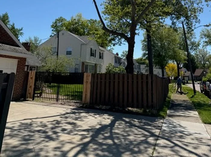 Overgrown tree with branches hanging over a driveway