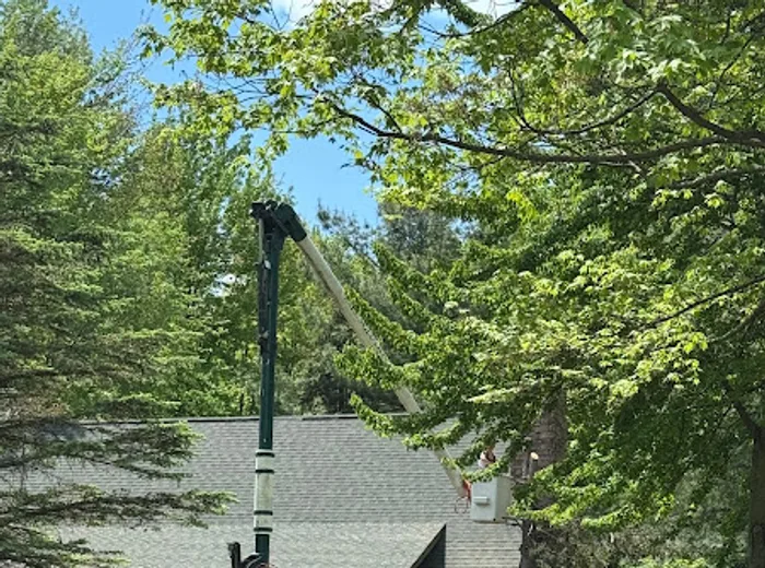 Crown trimming work